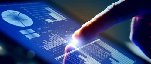 楊德龍 上半年我國經(jīng)濟(jì)探底回升，下半年有望繼續(xù)復(fù)蘇，信息技術(shù)咨詢服務(wù)前景廣闊