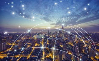 高中畢業學物聯網，信息技術咨詢服務中的新機遇